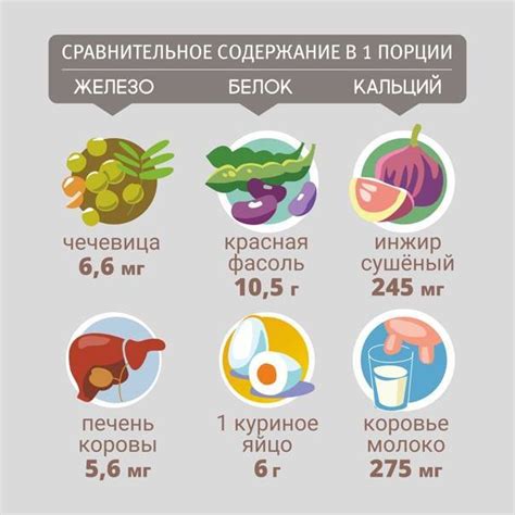 Продукты содержащие белок в большом количестве для мясоедов и вегетарианцев