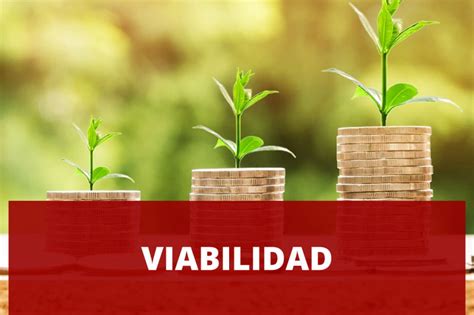 Por qué debes realizar un análisis de viabilidad económica y