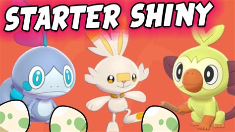 Starter Shiny Aus Eiern Br Ten Pokemon Schwert Livestream Gameplay