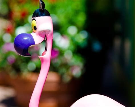 Guide to Flamingo Crossings: Disney World's "Second Springs" - Disney ...