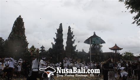 NUSABALI 15 000 Tipat Dan Bantal Bertemu Di Akasa Desa Adat Kapal