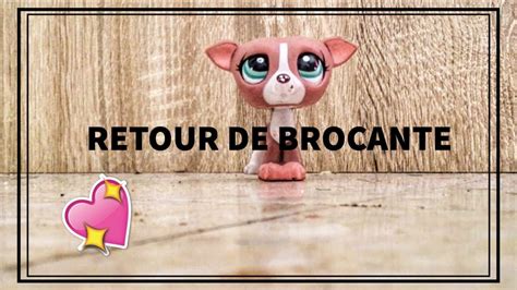 Retour De Brocante Supers Petshops Lps En Fran Ais Youtube