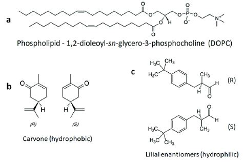 Chemical Structures Of A Phospholipid And The Odorants Used Here A