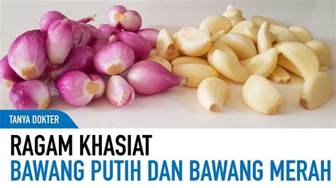 Sedap Dan Sehat Ternyata Ini Manfaat Bawang Putih Dan Bawang Merah