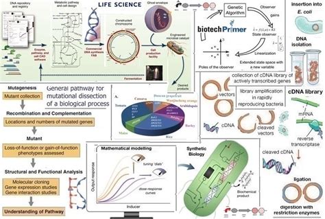 Genetic Modification | DiTech Media