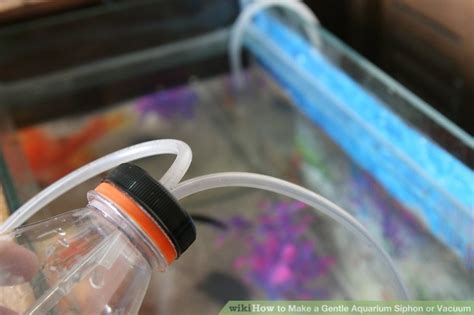 How To Make A Gentle Aquarium Siphon Or Vacuum 7 Steps