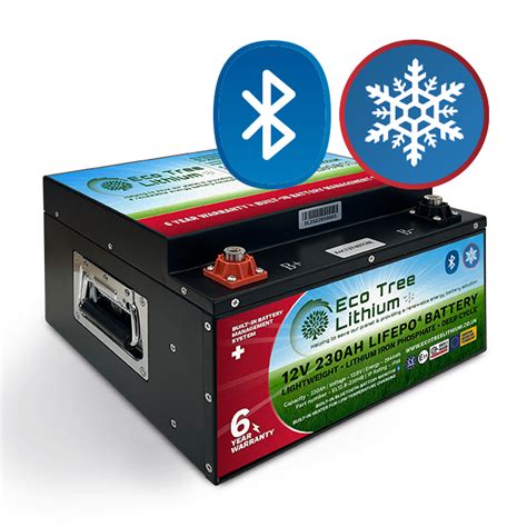 V Ah Underseat Lithium Leisure Battery Lifepo Eco Tree Lithium