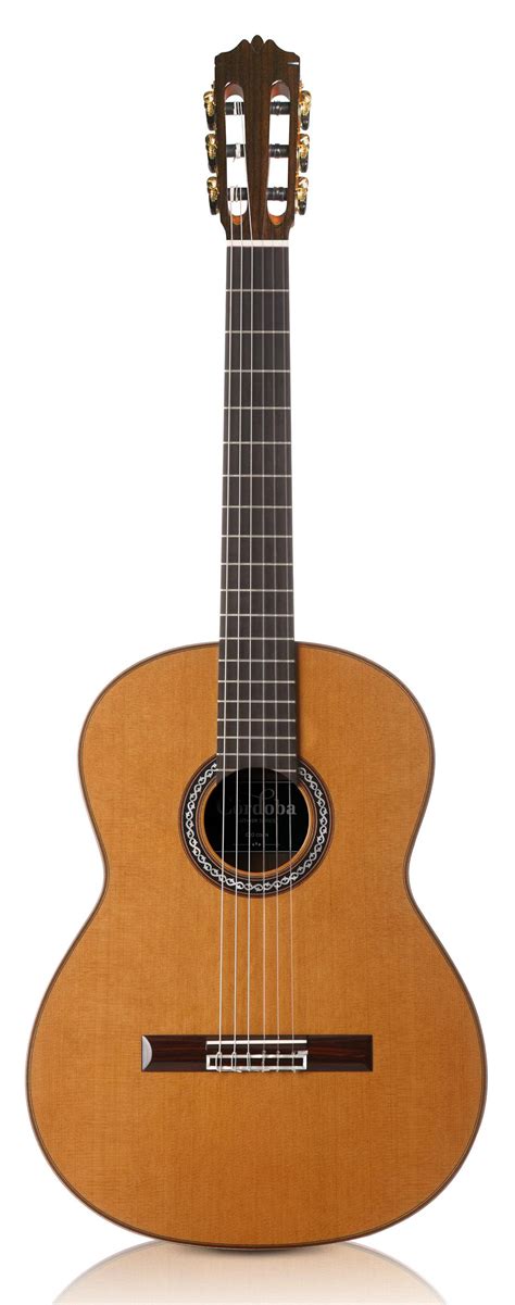 Cordoba C Cedar All Solid Cedar Rosewood Nylon String Classical