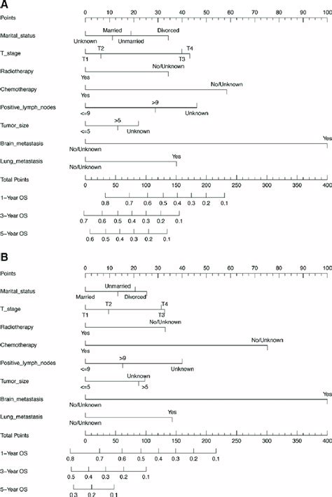 Nomograms For Predicting 1 3 And 5 Yr OS A And CSS B In