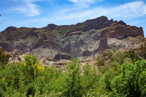 Walking Arizona: Arizona Sonora Desert