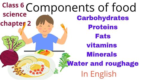 Class 6 Sciencechapter 2components Of Food In Englishnutrients