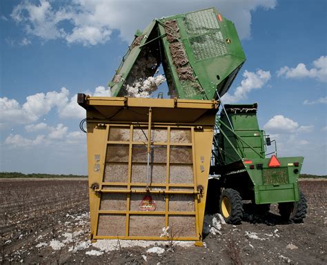 » Cotton Harvesting Time in Texas Andy's Ramblings