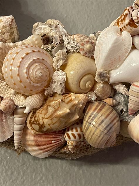 Nautical Decor Seashell Wreath Beach Decor Shell Wreath Seashell