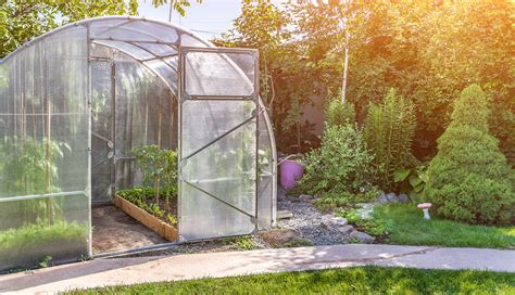 Comment cultiver des légumes dans une serre maison