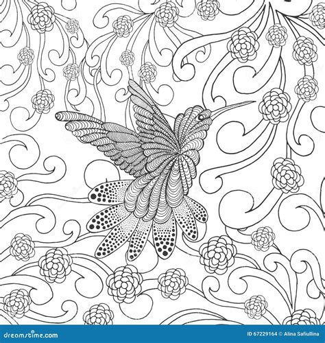 Zentangle Estilizó El Colibrí En Jardín De Flores Ilustración del