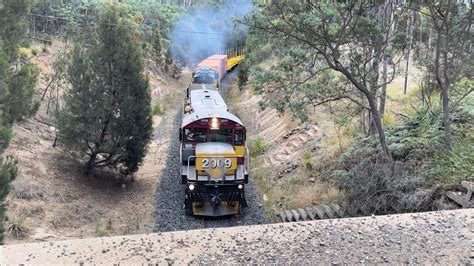 TasRail 2009 TR17 33 Train Passing Under East Arm Road YouTube