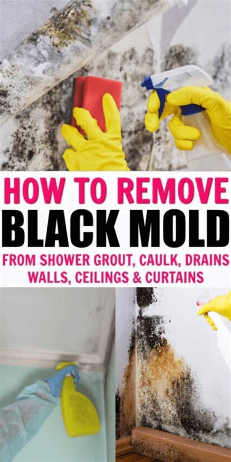 Black Mold Removal 7 Effective Hacks To Clean Black Mold Offbeatbros