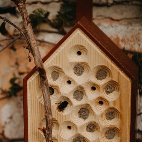 Abri Pour Abeilles Les Petits Raffineurs Abeille Suspendu Abri