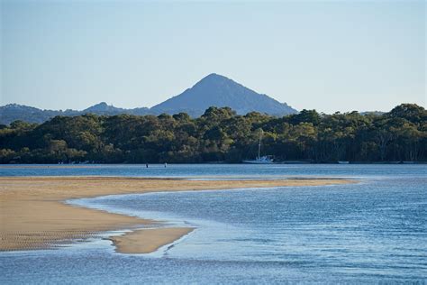 Beach Forest Photos, Download The BEST Free Beach Forest Stock Photos ...