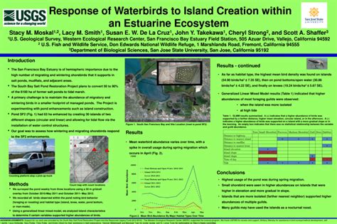 Response of Waterbirds to Island Creation within an Estuarine Ecosystem | South Bay Salt Ponds