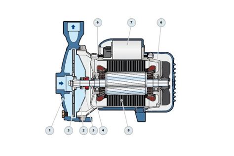 Pedrollo Cpm Centrifugal Pump Tt Tekun Equipment Sdn Bhd