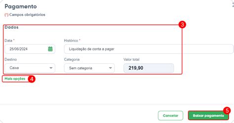 Como Dar Baixa Em Uma Conta A Pagar Bling