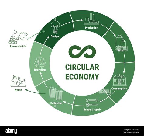 Circular Economy Line Infographic On Green Diagram Sustainable Business Model Scheme Of