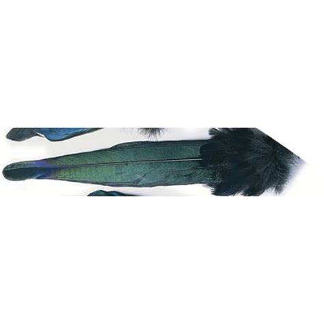 Magpie Fly Tying Tail Feathers Troutflies Uk