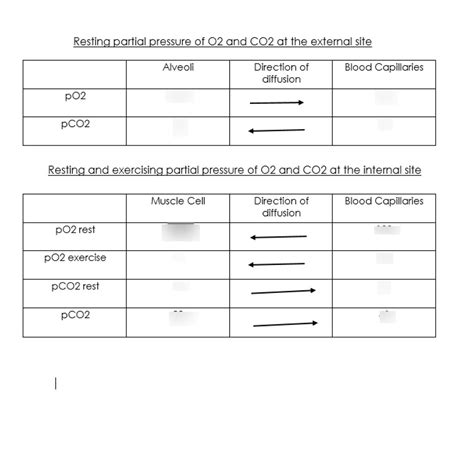 S-Gaseous Exchange Diagram | Quizlet