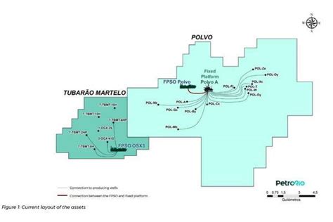 Brazil Petrorio Connects Polvo And Tubarao Martelo Fields Eyes