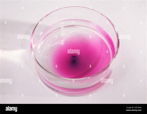 Diffusion Potassium Permanganate Kmno4 Purple Crystals Dissolving