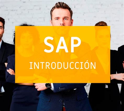 Sap Introducci N Consultor A Y Capacitaci N En Sap