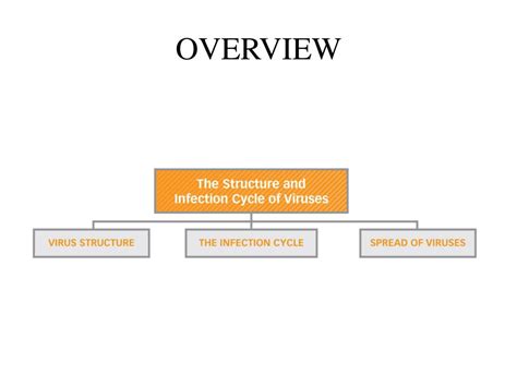 PPT - Virus Structure PowerPoint Presentation, free download - ID:2460719