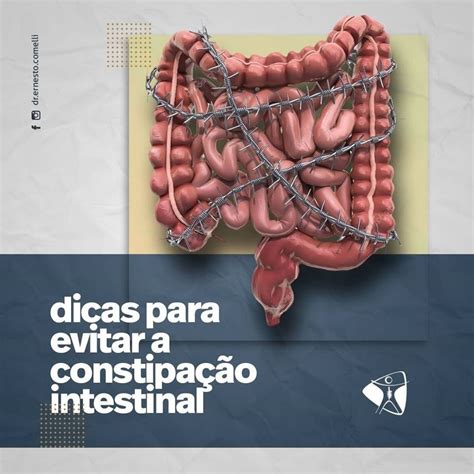 Dicas Para Evitar A Constipação Intestinal Dr Ernesto Comelli