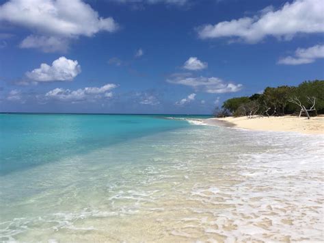 Caribbean Photo of the Week: Turtle Beach, Buck Island