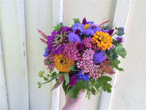 Beautiful Aster Flower Bouquet 20+