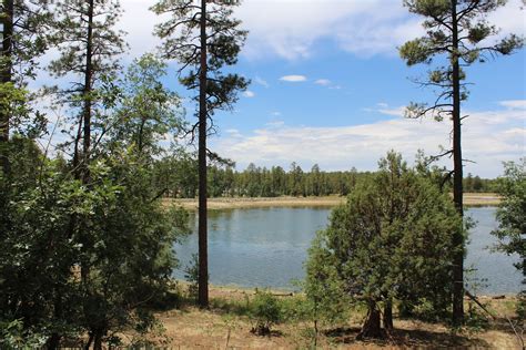 Woodland Lake Park Pinetop Az David Knaust Flickr