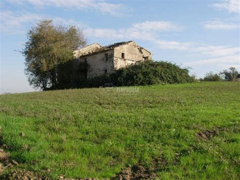 Vendita Casale In Strada Intercomunale San Silvestro Senigallia Da