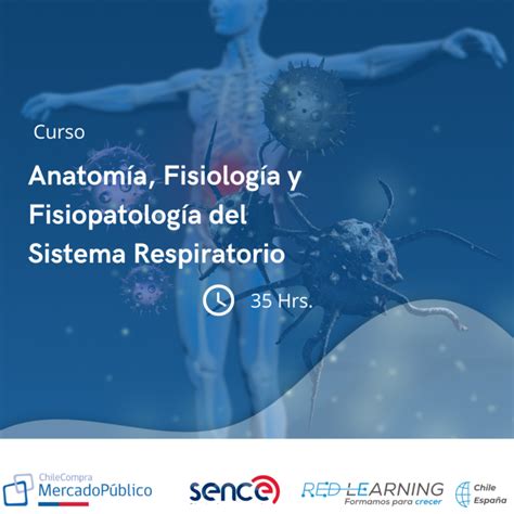 Curso Anatom A Fisiolog A Y Fisiopatolog A Del Sistema Respiratorio