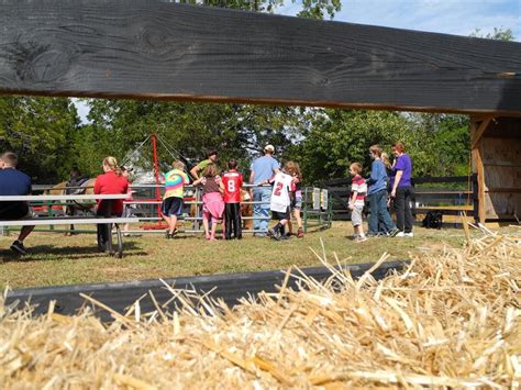 Buford Corn Maze And Haunted Forest Buford Ga