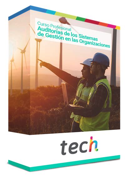 Curso Profesional En Auditor As De Los Sistemas De Gesti N En Las