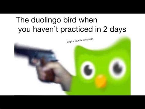 Duolingo Memes | Evil Duolingo Owl | Know Your Meme