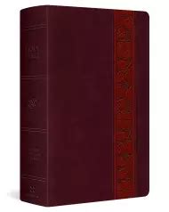 Esv Large Print Personal Size Bible Trutone Mahogany Trellis Design