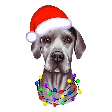 Premium Vector Great Dane Dog With Christmas Lights In Santas Hat