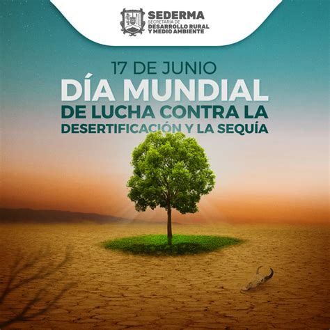 De Junio D A Mundial De Lucha Contra La Desertificaci N Y La Sequ A