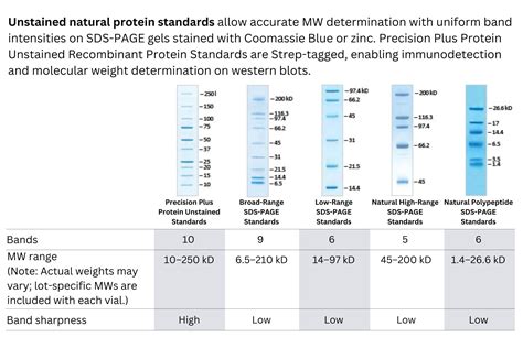 Ladder and Protein Markers - SUPERWORTH BIO