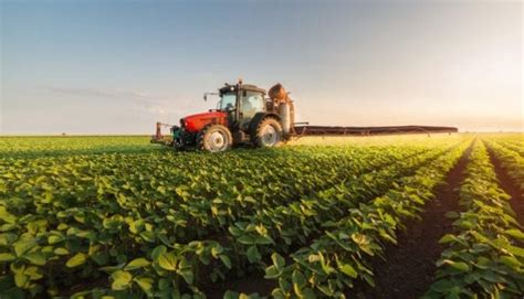 Tipos de Agricultura Clasificación de Cultivos Agroindustria