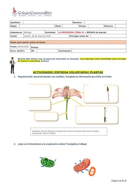 PDF Página 1 de 3 Cisneros Alter ígneas que son de dos tipos si