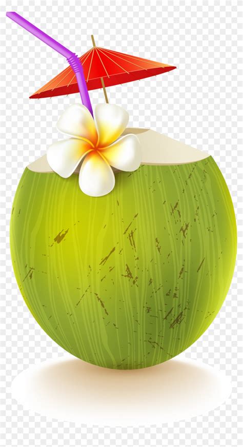 Coconut Drink Png - Coconut Drink, Transparent Png - 1133x2033(#6170906 ...