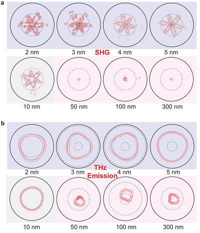 Polarization Angledependent Patterns Of A Second Harmonic Generation